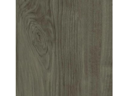 Castelvetro More Oliva 60x60 RT 2.0 (tl.2cm)(1.jakost)