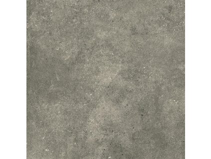 Deceram PAM Vita Moka 60x60 Rett.