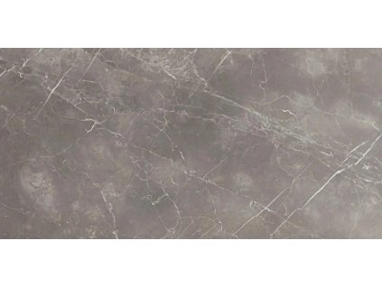 Deceram PAM Piave Argent 45x90 Rett.