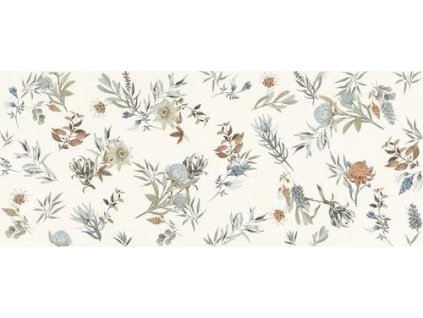 Marca Corona Mirabilia Clorofilla 50x120