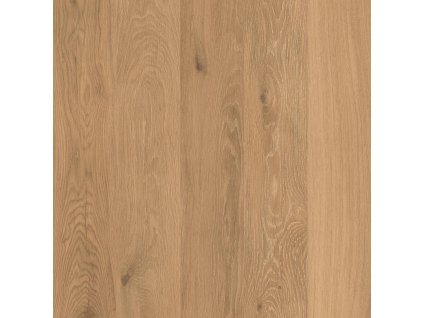 Caesar Aextra Cocoon Joy 60x60 Rett. (tl. 2cm)