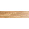 Deceram PAM Tundra Roble Wood Out 15x60