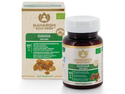 6938 bio guggul 30g 1