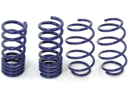 Steeda S550 Mustang Lowering Springs - Progressive