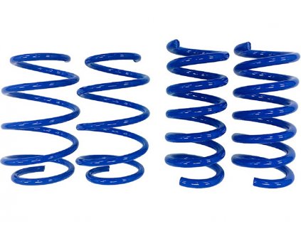 Steeda S550 Mustang Lowering Springs - Linear - Minimum Drop