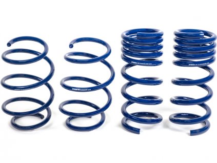 Steeda S550 Mustang Lowering Springs - MagneRide