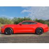 Steeda S550 Mustang Lowering Springs Ultralite Linear - Regular Drop