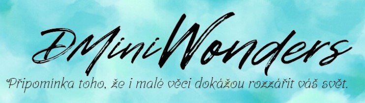 DMini Wonders