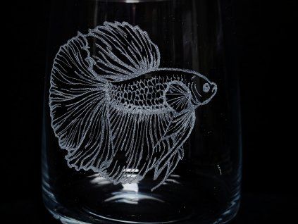 Sklenice - Betta - Bojovnice pestrá