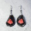 Heliconius erato himera