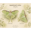 Měsíční záře – Martináč Luna