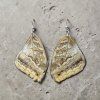 Caligo memnon – Soví motýl