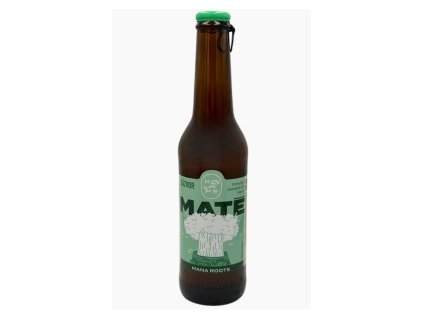 energeticke matecko zazvor