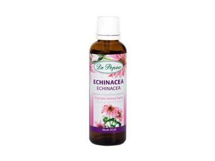 echinacea 300x300