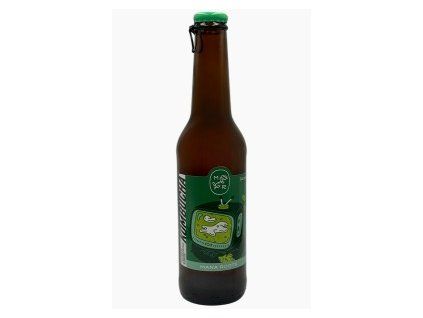 kombucha zazvor