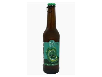 kombucha cucoriedka 2