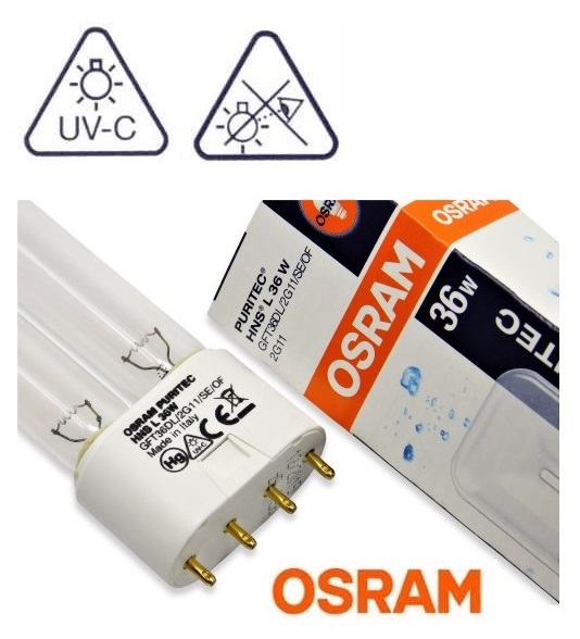 OSRAM_HNS_L_36_W_2G11_lampa_001