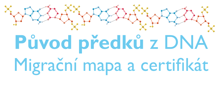Původ předků pomocí DNA