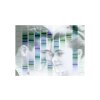 miniprint vision duo obrazek podle DNA emerald bila