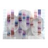 G-miniprint Vision TRIO – malý obrázek podle DNA tří osob + Vaše fotografie