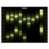obraz podle DNA 15