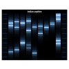 obraz podle DNA 18