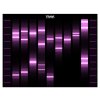 obraz podle DNA 19