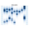 obraz podle DNA 11