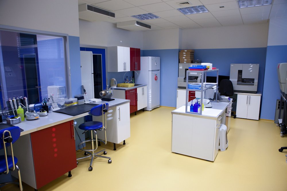 Budova Genomac detail