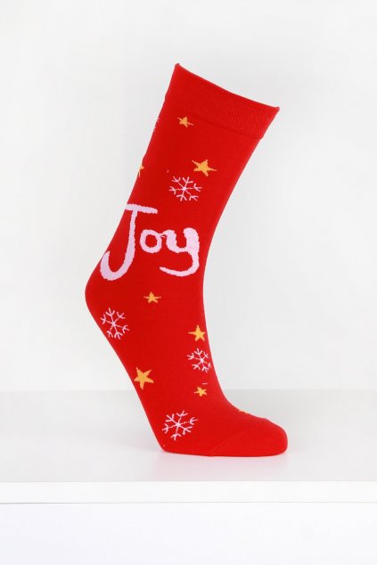 Vánoční ponožky DB612 3 (1)