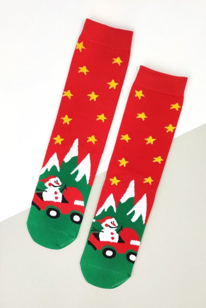 Vánoční ponožky DB612 8