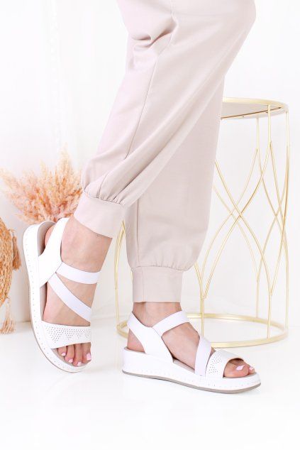 CC3025 2WH 1