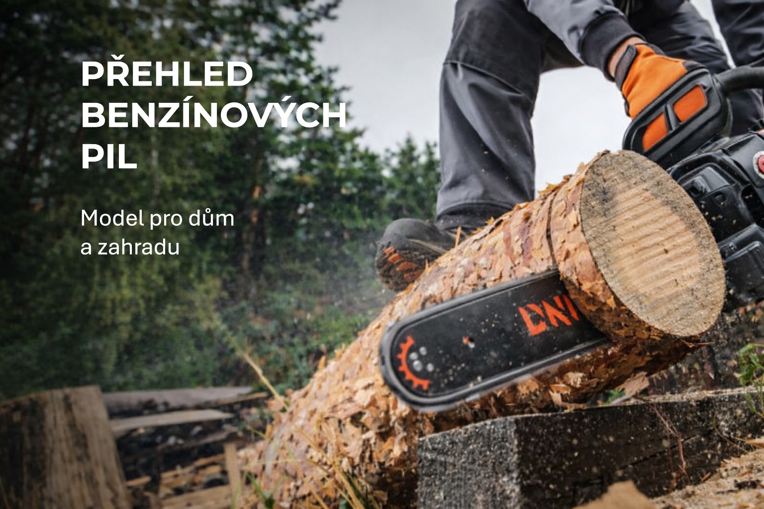 Přehled modelů benzínových pil Dnipro-M