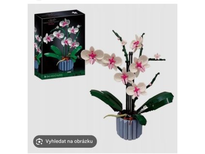 559132734 4340660812881543 435321592823190226 n