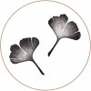 Ginkgo4