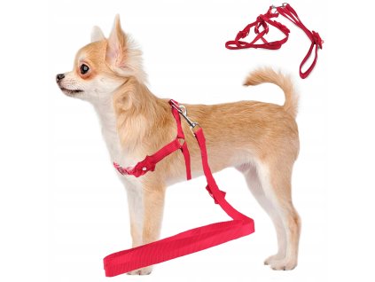 37e9c19bd4089f9f09833768f1bec3da