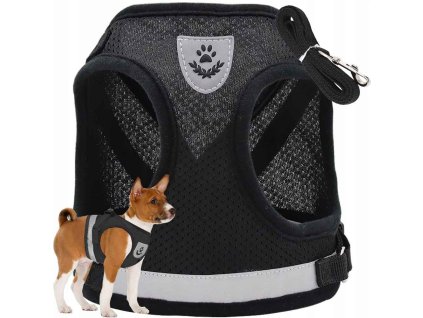 ffadd7893d82d828925762de621944d2 11zon