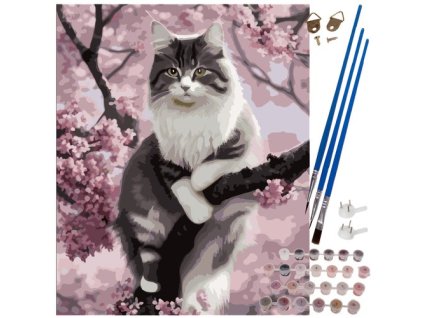 Malba podle čísel 40x50cm - Kočka