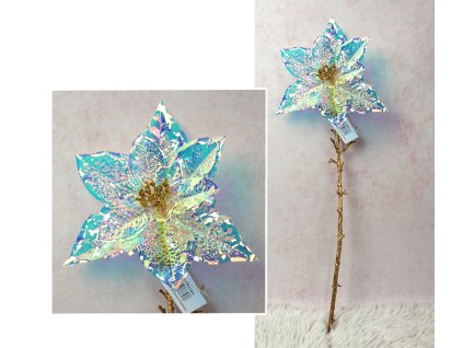 kwiat pojedynczy poinsecja g 113564