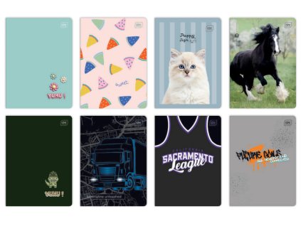 zeszyt a5 32 kartki 3 linie 109581