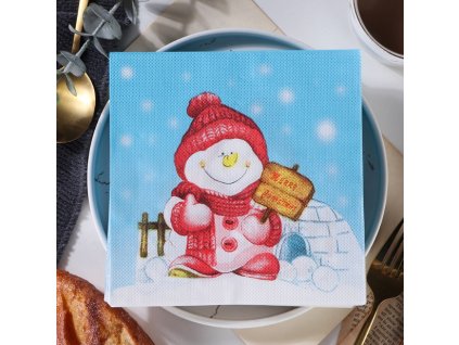 serwetki papierowe balwan 33x 91623