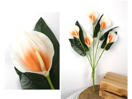 bukiet kalia piankowa wys 61 100680