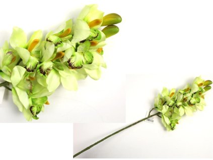 kwiat pojedynczy storczyk wy 101623