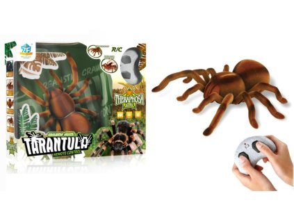 pajak na radio w kartonie 37 107682