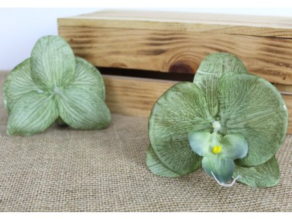 glowka kwiatowa storczyk 12 109702