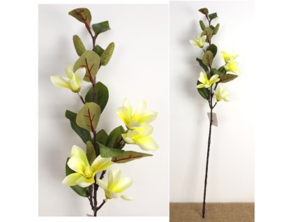 kwiat magnolia wys 76 cm 5 k 110351