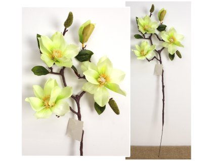 kwiat magnolia wys 73 cm 3 k 110356