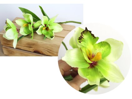 kwiat storczyk orchidea wys 110334