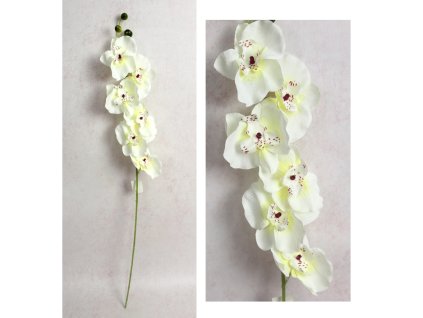 kwiat storczyk wys 75 cm 6 k 111562