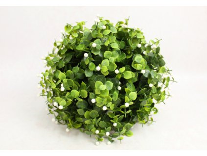 kula bukszpan z bialymi kwia 111857